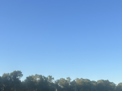 Cruising the Murray River – Australian Traveller